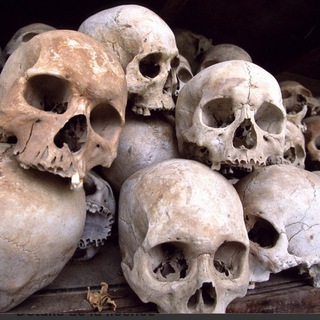 Telegram profile photo for Forensic Anthropology / Bones / Trannies / Tranvestigation / Worldwide Deception