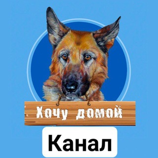 Telegram profile photo for Хочу домой Хабаровск !!!