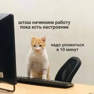 Telegram profile photo for рабочий этыкет