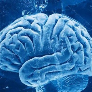 Telegram profile photo for Холодная Аналитика