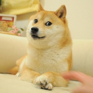 Telegram profile photo for r3tok