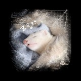 Telegram profile photo for ꜰɪʟɪᴘ ᴘɪᴀsᴇᴄᴋɪ