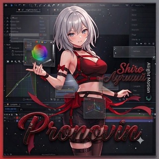 Telegram profile photo for Pronovin | TT Video