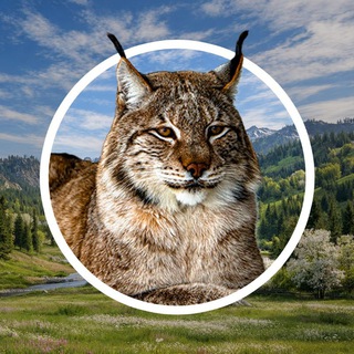 Telegram profile photo for ИВАНОВСКИЙ ЗООПАРК