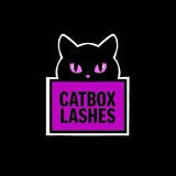 Telegram profile photo for CATBOX lashes | креативные ресницы для наращивания
