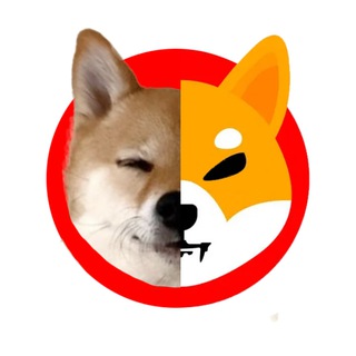Telegram profile photo for HANA, Shib's real name ~ Community