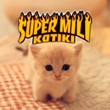 Telegram profile photo for супер мили котики