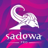 Telegram profile photo for INFO SADEWA PRO