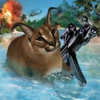 Telegram profile photo for Оружейное околовоенное и другое: Memes edition.