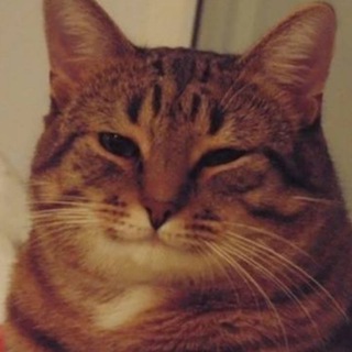 Telegram profile photo for 😂Мемы|Ржачь😂