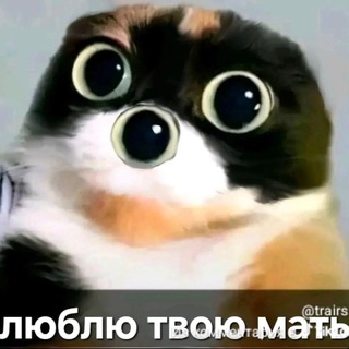 Telegram profile photo for Переходник егглеинг кф
