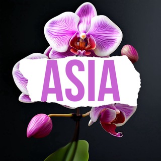 Telegram profile photo for My Orchids Shop АЗИЯ