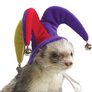 Telegram profile photo for Кисловодск