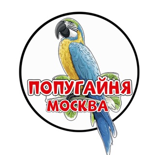 Telegram profile photo for ПОПУГАЙНЯ МОСКВА