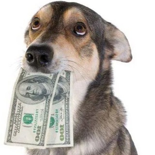 Telegram profile photo for Финотчеты фонда «ДОРОГ КАЖДЫЙ»