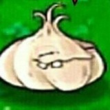Telegram profile photo for /