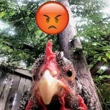 Telegram profile photo for Типо оценка
