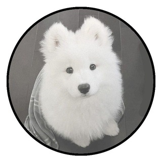 Telegram profile photo for ... with YOU conf