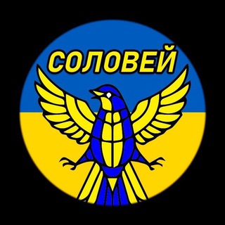 Telegram profile photo for Соловей | Украина Новости