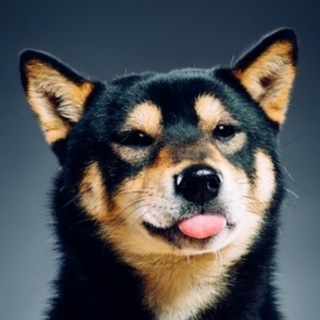 Telegram profile photo for - Under Doge -