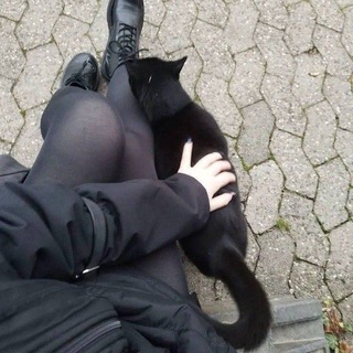 Telegram profile photo for chat Алексея