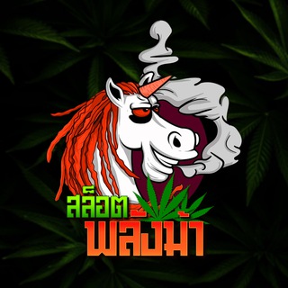 Telegram profile photo for พลังม้า พาปั่น