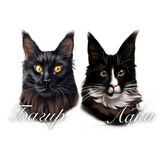 Telegram profile photo for Усатые хвостатые 🐈⬛