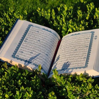 Telegram profile photo for القرآن الكريم 📖