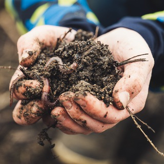 Telegram profile photo for Kompost&Liebe 🌱 Der Permakultur Garten Kanal
