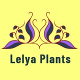 Telegram profile photo for Lelya Plants