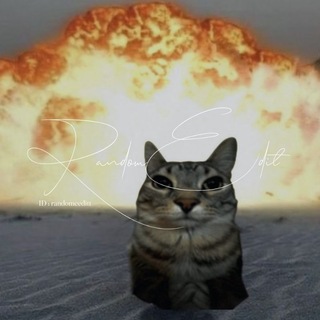 Telegram profile photo for `𝖱𝖠𝖭𝖣𝖮𝖬𝖤𝖣𝖨𝖳🪽.