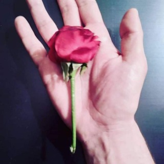 Telegram profile photo for Лисичкин