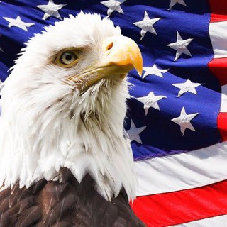 Telegram profile photo for All About USA 🇺🇸