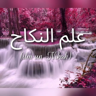 Telegram profile photo for Ilm un Nikah