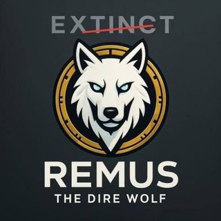 Telegram profile photo for REMUS_CTO
