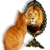 Telegram profile photo for Otrisovkin Shop
