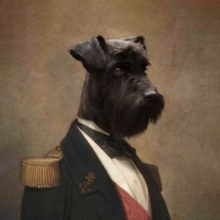 Telegram profile photo for Lord Bebo & Friends