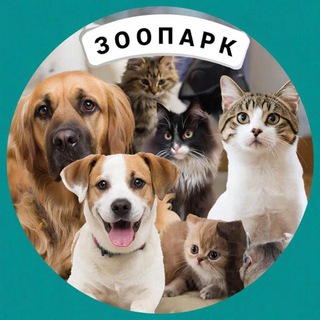 Telegram profile photo for Зоопарк🐻🦁🐵🐩🐇🦊🦔🐻❄️