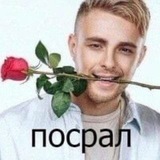 Telegram profile photo for Штофи, но не Штофи!