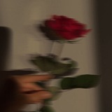 Telegram profile photo for 🥀 𝙵_𝙴_𝙴_𝙻_𝙸_𝙽_𝙶 🥀