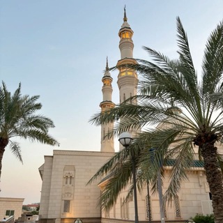 Telegram profile photo for مصابيح السنة