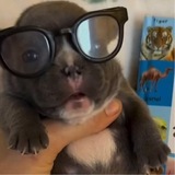 Telegram profile photo for мовози