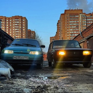 Telegram profile photo for Дикий Движ 👁️⃤