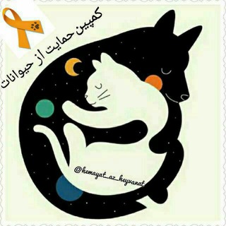 Telegram profile photo for کمپین حمایت از حیوانات