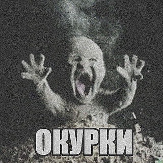 Telegram profile photo for Био