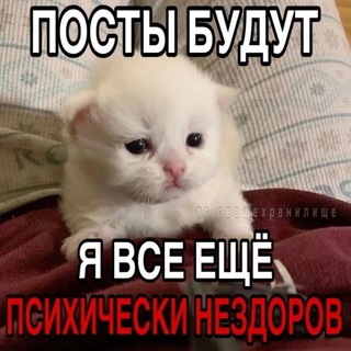 Telegram profile photo for Типо для лора и рефов