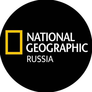 Telegram profile photo for National Geographic™ RU Official