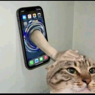 Telegram profile photo for Clocked you as always