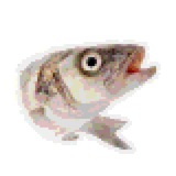 Telegram profile photo for NOZUWY