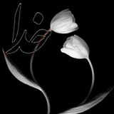 Telegram profile photo for تبلیغات دعاهای مشکل گشا